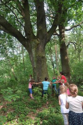 Foto des Albums: Abschlussrüste der Vorschulkinder 2018