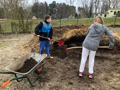 Foto des Albums: Hochbeetbau