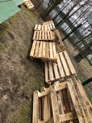Foto des Albums: Hochbeetbau
