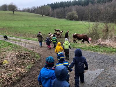 Foto des Albums: Die Waldgruppe zu Besuch auf dem Bauernhof (16. 04. 2019)