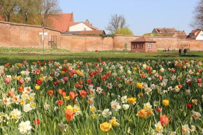 Foto des Albums: Eröffnung der Landesgartenschau in Wittstock (18.04.2019)