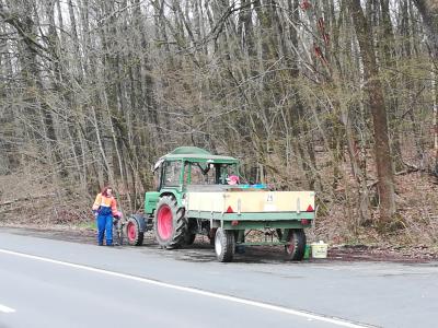 Foto des Albums: Saubere Flur 2019
