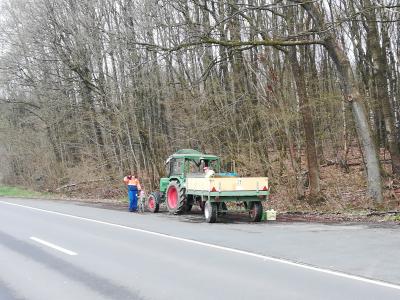 Foto des Albums: Saubere Flur 2019