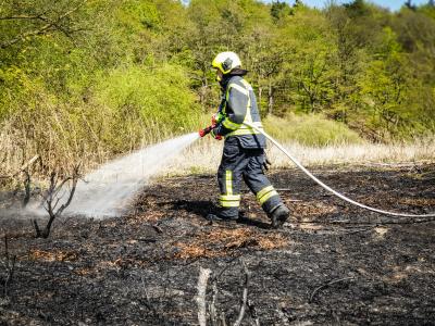 2019-04-23 B&ouml;schungsbrand Elbe 11 