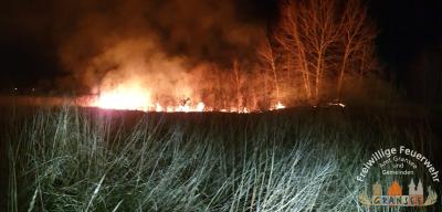 Foto des Albums: Einsatz 746-B-Fläche-Gransee, Am Gewerbepark, Bahndamm