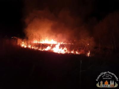 Foto des Albums: Einsatz 746-B-Fläche-Gransee, Am Gewerbepark, Bahndamm