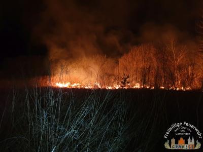 Foto des Albums: Einsatz 746-B-Fläche-Gransee, Am Gewerbepark, Bahndamm