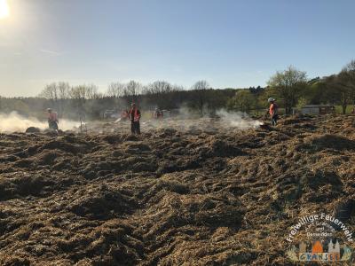 Foto des Albums: Einsatz 753-B-Fläche-Gransee, Meseberger Weg RTH Landeplatz