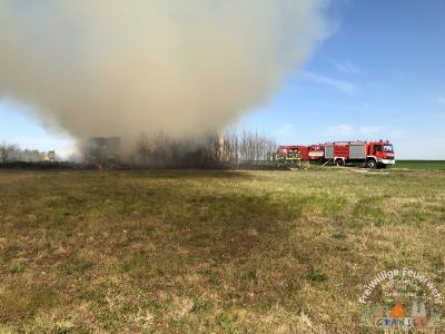 Foto des Albums: Einsatz 753-B-Fläche-Gransee, Meseberger Weg RTH Landeplatz