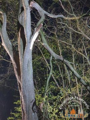 Foto des Albums: Einsatz 763-H-Klein-B 96 Abzw. Meseberg
