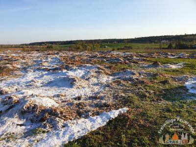 Foto des Albums: Einsatz 775-B-Fläche-Gransee, Meseberger Weg RTH Landeplatz