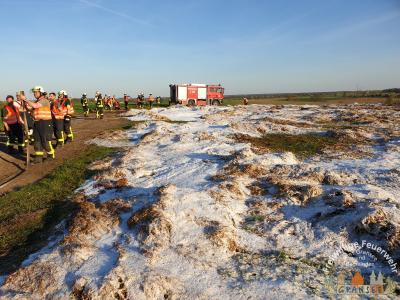 Foto des Albums: Einsatz 775-B-Fläche-Gransee, Meseberger Weg RTH Landeplatz