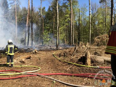 Foto des Albums: Einsatz 783-B-Wald-Gransee, Stadtwald Ri Meseberg
