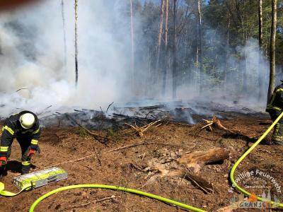 Foto des Albums: Einsatz 783-B-Wald-Gransee, Stadtwald Ri Meseberg
