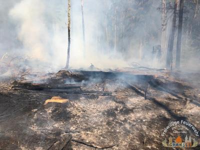 Foto des Albums: Einsatz 783-B-Wald-Gransee, Stadtwald Ri Meseberg