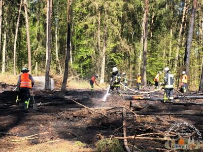 Foto des Albums: Einsatz 783-B-Wald-Gransee, Stadtwald Ri Meseberg