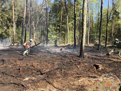 Foto des Albums: Einsatz 783-B-Wald-Gransee, Stadtwald Ri Meseberg