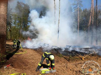 Foto des Albums: Einsatz 783-B-Wald-Gransee, Stadtwald Ri Meseberg
