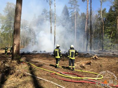 Foto des Albums: Einsatz 783-B-Wald-Gransee, Stadtwald Ri Meseberg