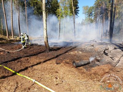 Foto des Albums: Einsatz 783-B-Wald-Gransee, Stadtwald Ri Meseberg