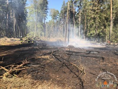 Foto des Albums: Einsatz 783-B-Wald-Gransee, Stadtwald Ri Meseberg
