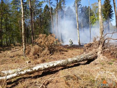 Foto des Albums: Einsatz 783-B-Wald-Gransee, Stadtwald Ri Meseberg