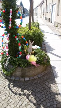 Foto des Albums: Dankeschön und Osterimpressionen aus Mühlberg vom Osterspaziergang