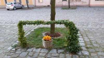 Foto des Albums: Dankeschön und Osterimpressionen aus Mühlberg vom Osterspaziergang
