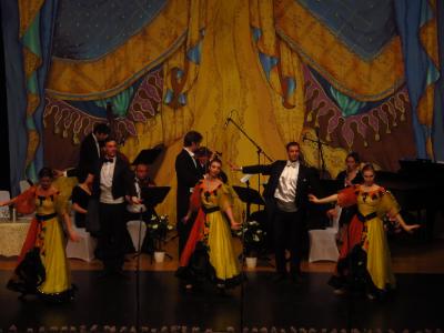 Foto des Albums: Johann-Strauß-Gala