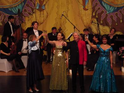 Foto des Albums: Johann-Strauß-Gala