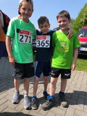 Foto des Albums: Hasenmelkerlauf 2019