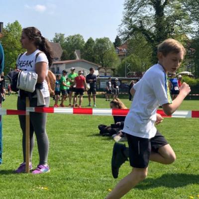 Foto des Albums: Hasenmelkerlauf 2019