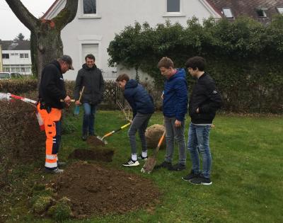 Foto des Albums: Baumpflanz-Aktion der Konfirmanden 10.04.2019 in Beimerstetten
