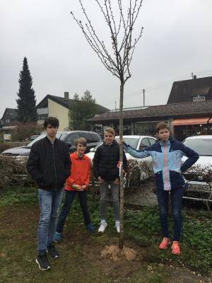 Foto des Albums: Baumpflanz-Aktion der Konfirmanden 10.04.2019 in Beimerstetten (10.04.2019)