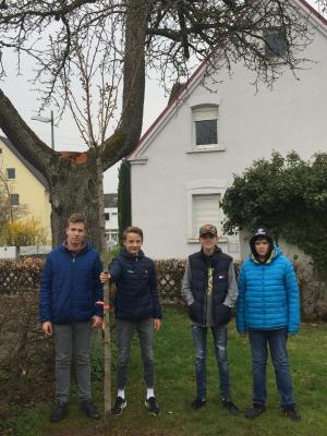Foto des Albums: Baumpflanz-Aktion der Konfirmanden 10.04.2019 in Beimerstetten (10.04.2019)