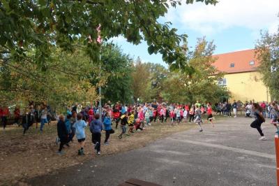 Foto des Albums: Lebensläufe 2018