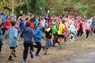 Foto des Albums: Lebensläufe 2018