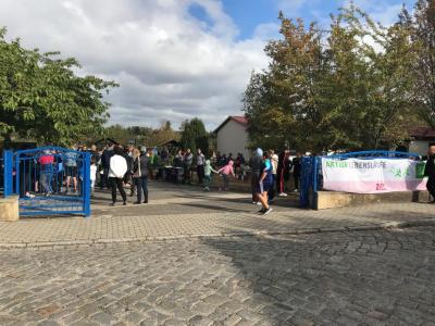 Foto des Albums: Lebensläufe 2018