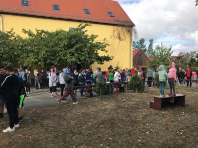 Foto des Albums: Lebensläufe 2018