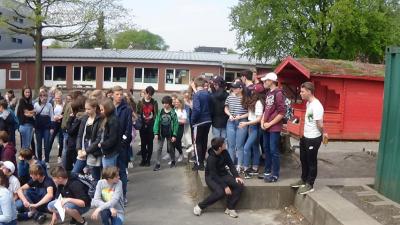Foto des Albums: Frankreichaustausch 2019: Bienvenu à Elmshorn!