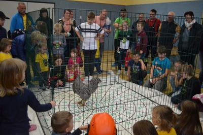 Foto des Albums: Tag der offenen Tür 2019