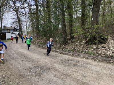 Foto des Albums: Frühjahrs-Crosslauf
