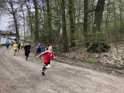 Foto des Albums: Frühjahrs-Crosslauf
