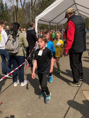 Foto des Albums: Frühjahrs-Crosslauf