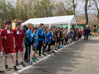 Foto des Albums: Frühjahrs-Crosslauf