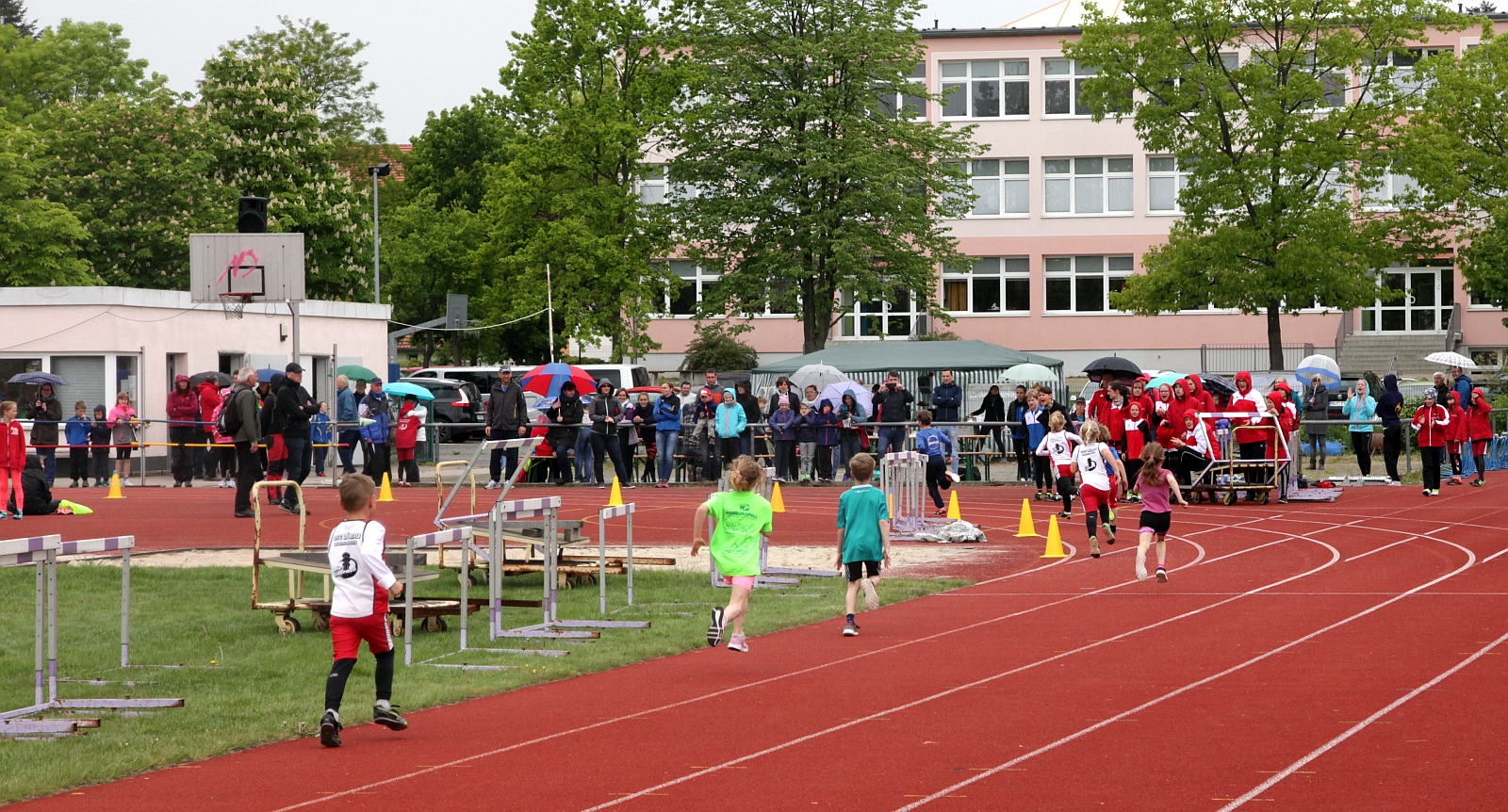 Bild: 800m
