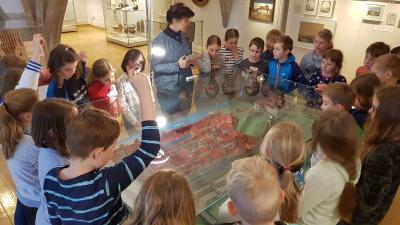 Foto des Albums: Exkursion Klasse 3 in die Kreisstadt Pirna