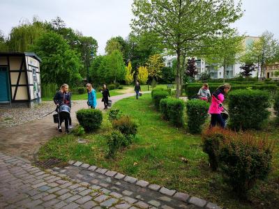 Foto des Albums: Müllaktion der Pritzwalker Quandtschule