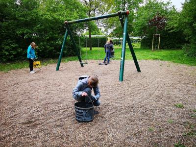 Foto des Albums: Müllaktion der Pritzwalker Quandtschule