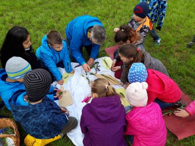 Foto des Albums: Lerngang Wiese